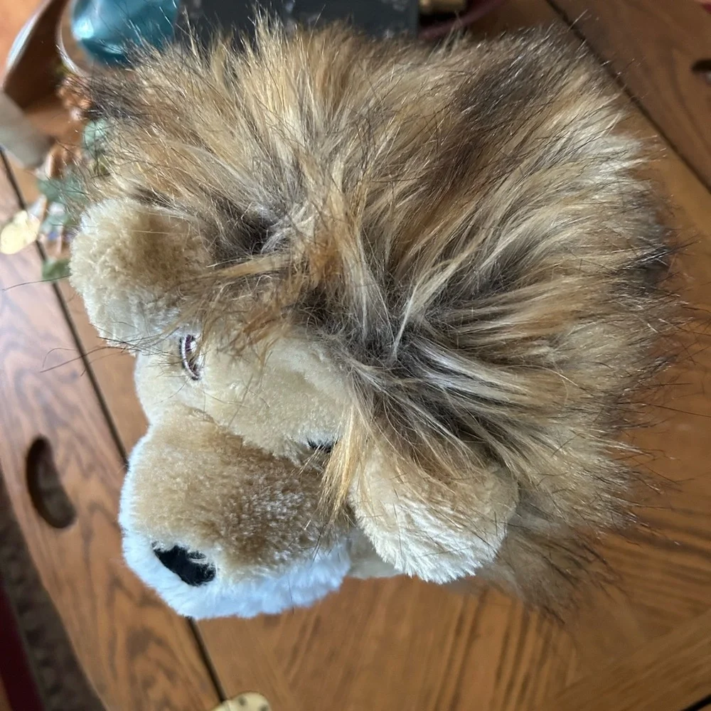The Children's Place Lion Hat